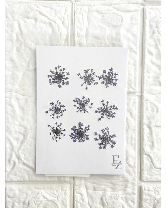 Queen Anne's Lace - Violet