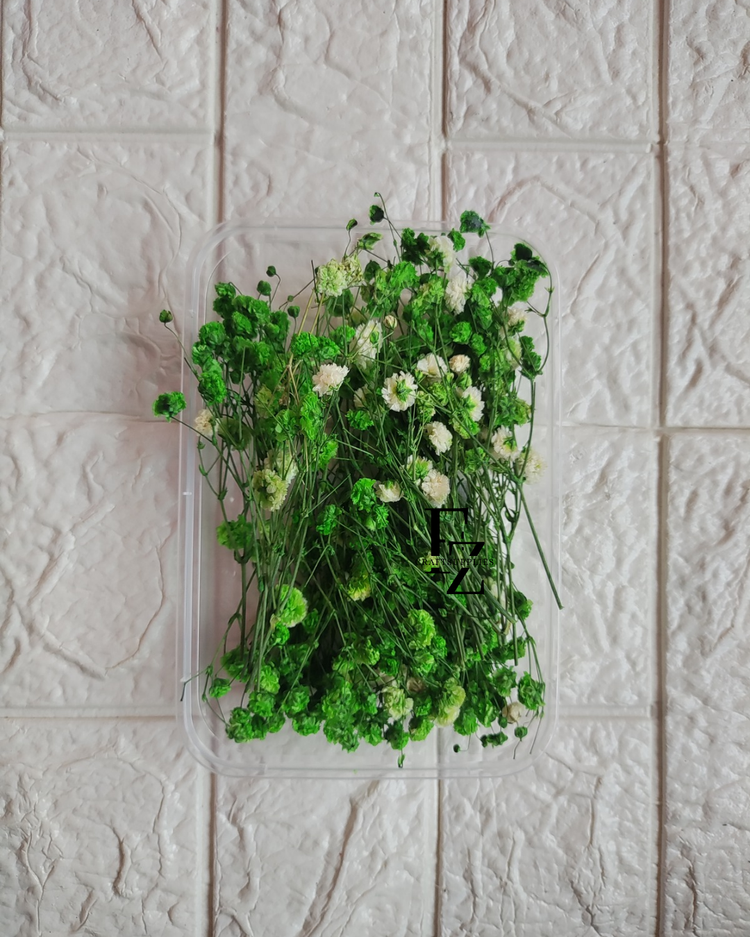 Dry Baby Breath/ Gypsy Box - Green