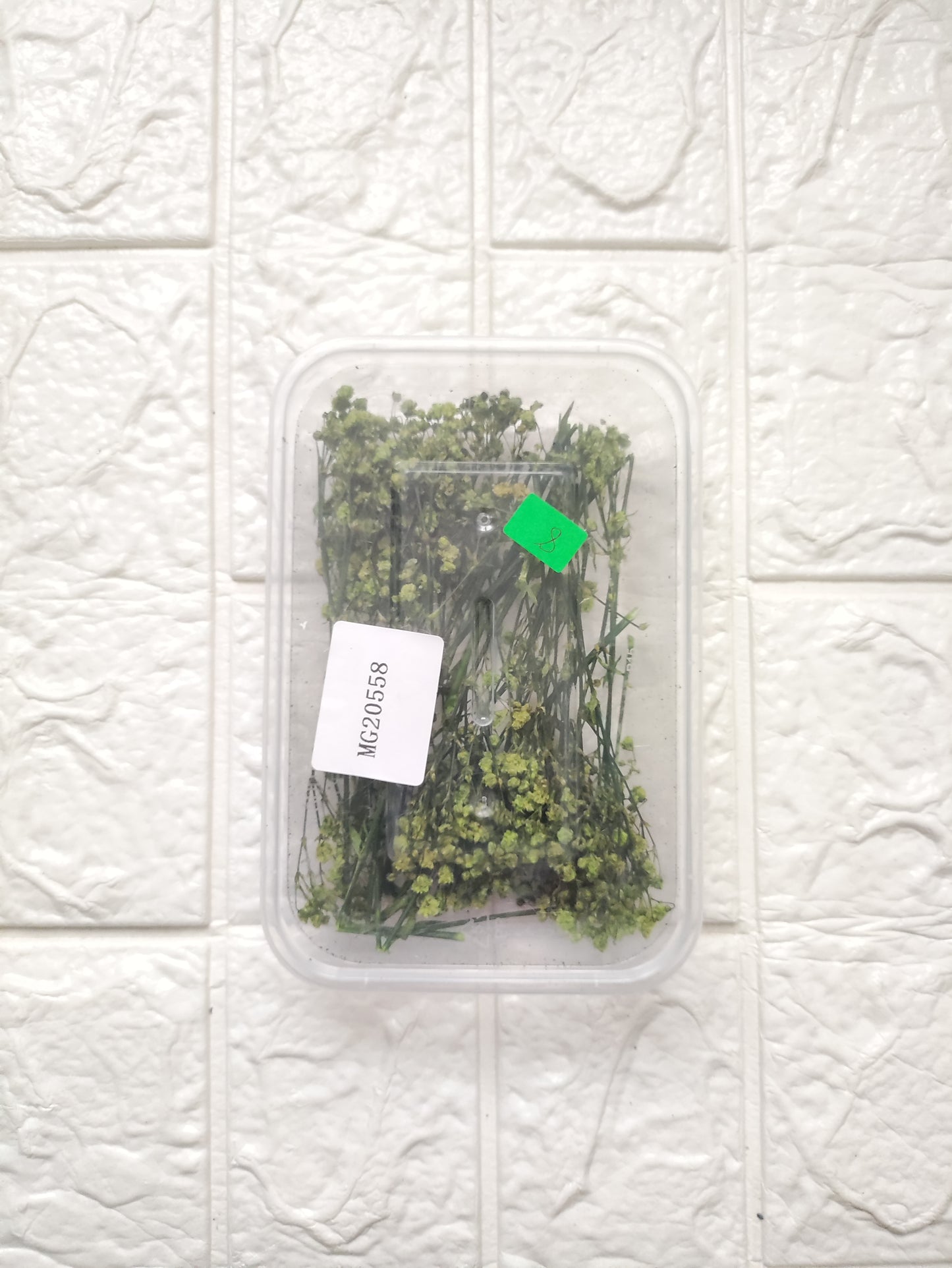 Green Baby Breath/ Gypsy Flower box