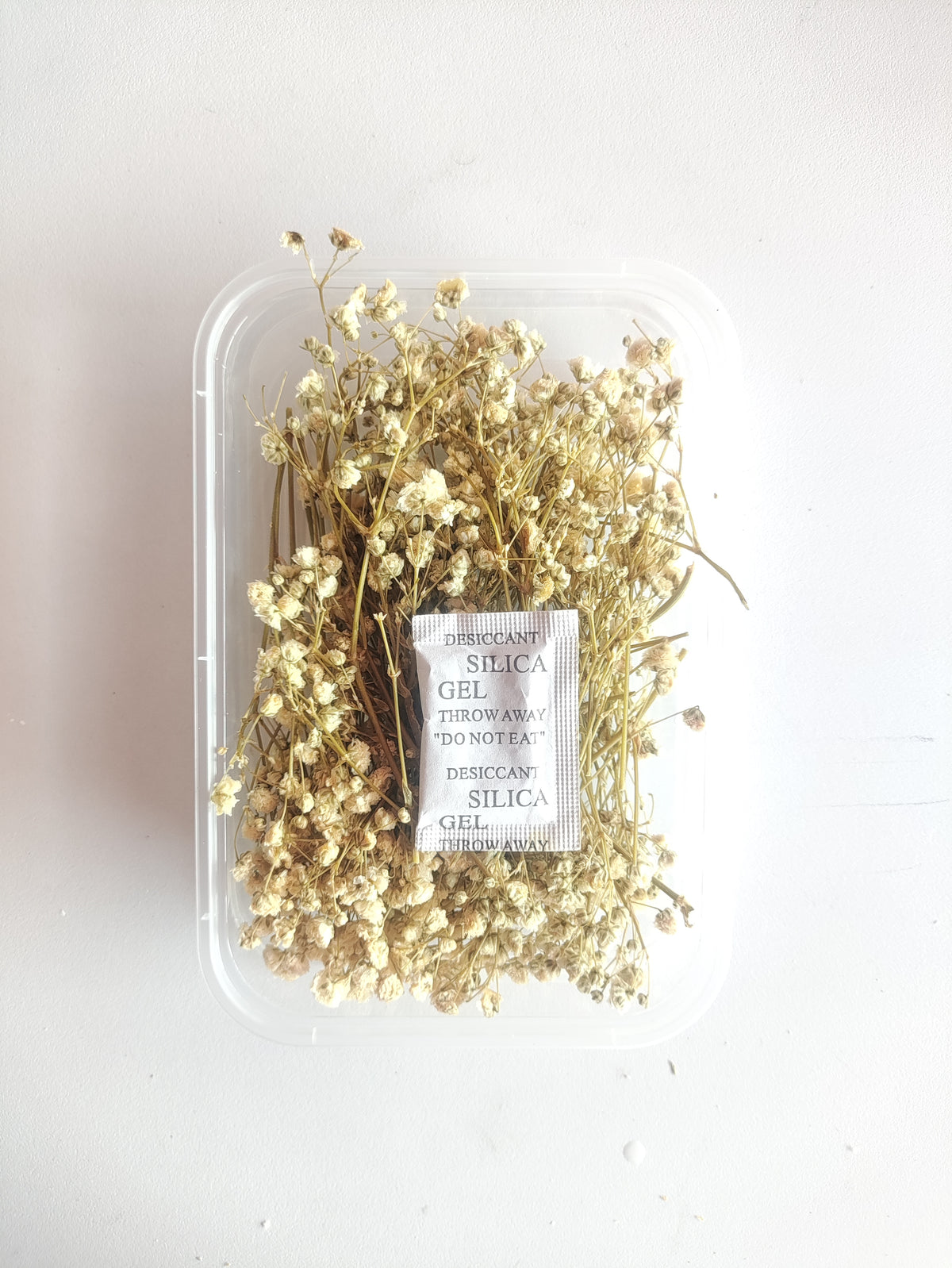 Baby Breath/ Gypsy Dry Flower Box