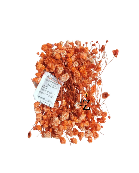 Dry Baby Breath/ Gypsy Box - Orange