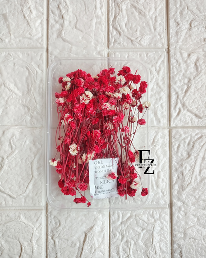 Dry Baby Breath/ Gypsy Box - Red