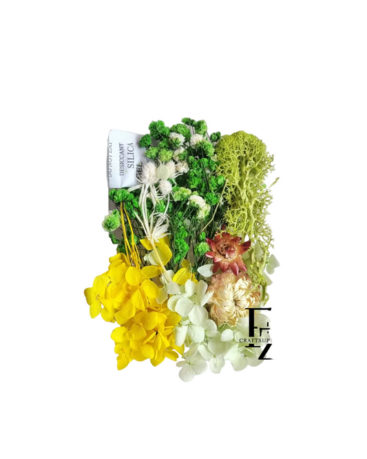 Dry Flower Box - D38