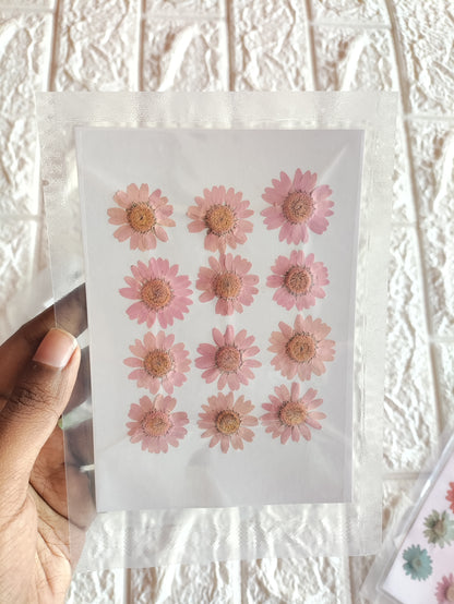 Pressed Daisy Flower Sheet - Pink