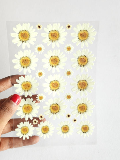Half White Daisy UV DTF Sticker - D1