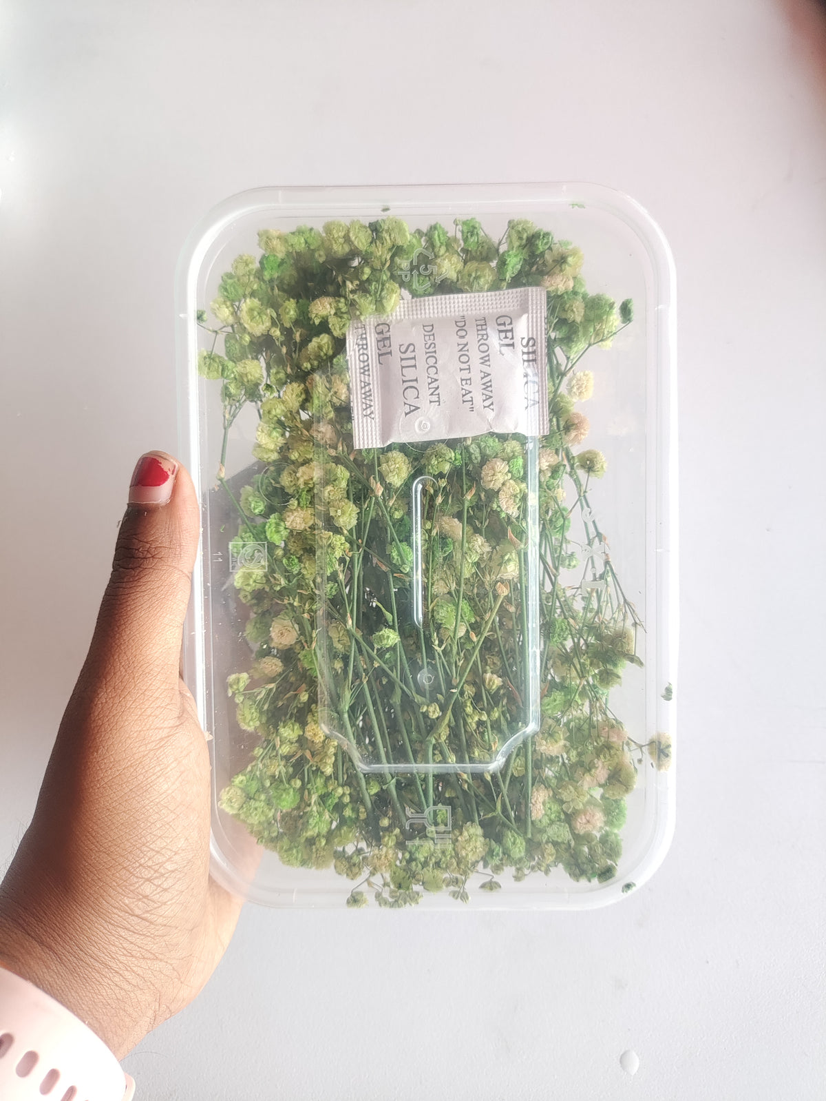 Baby Breath/ Gypsy Dry Flower Box