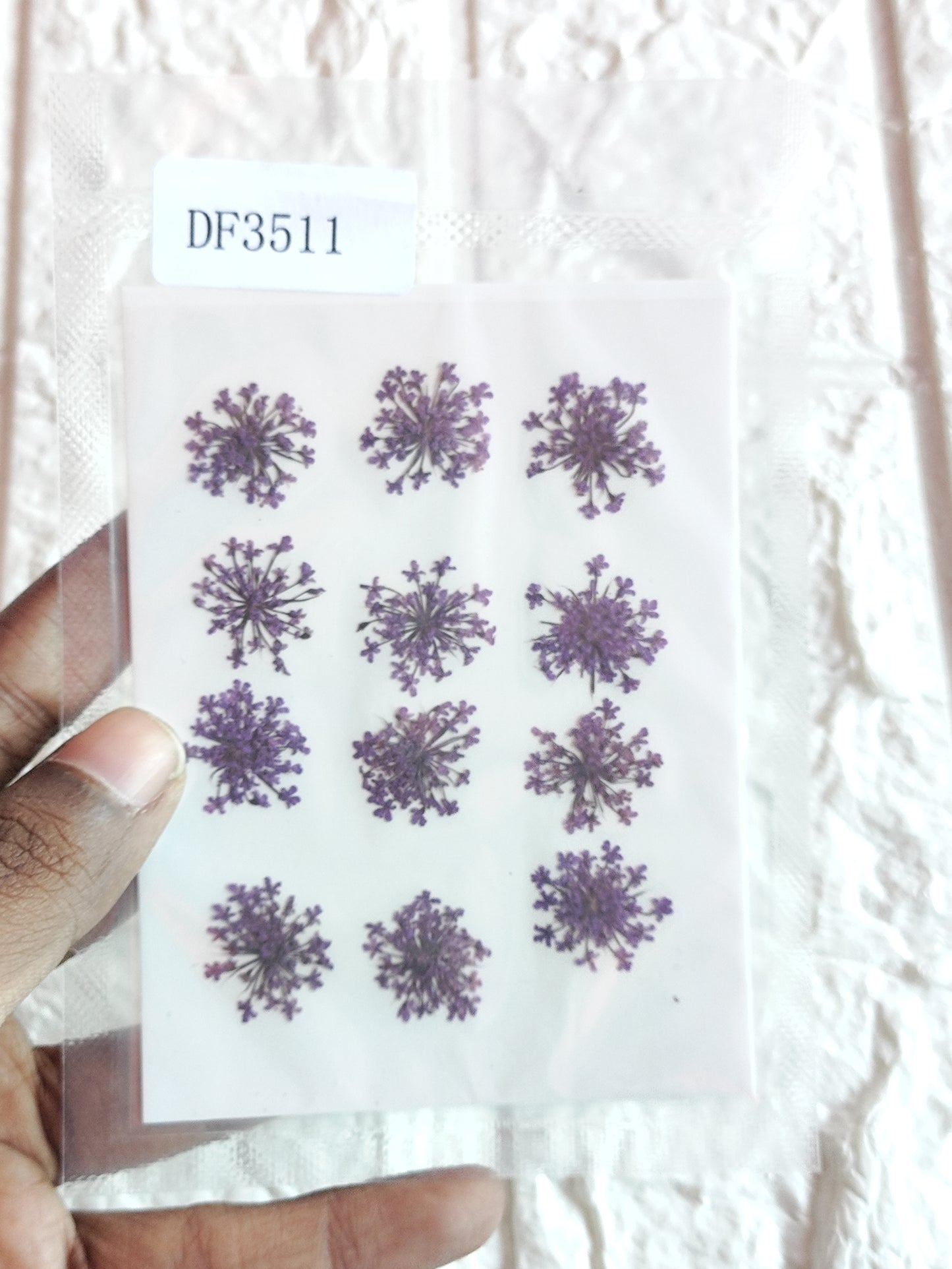 Queen Anne's Lace - Violet