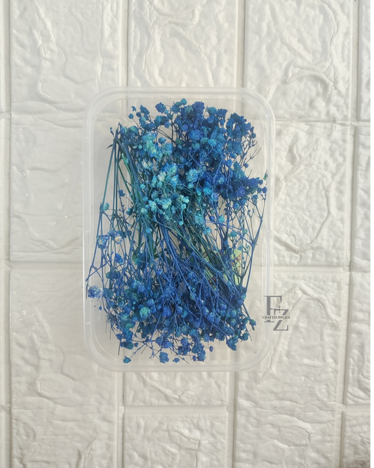 Baby Breath - Dark Blue