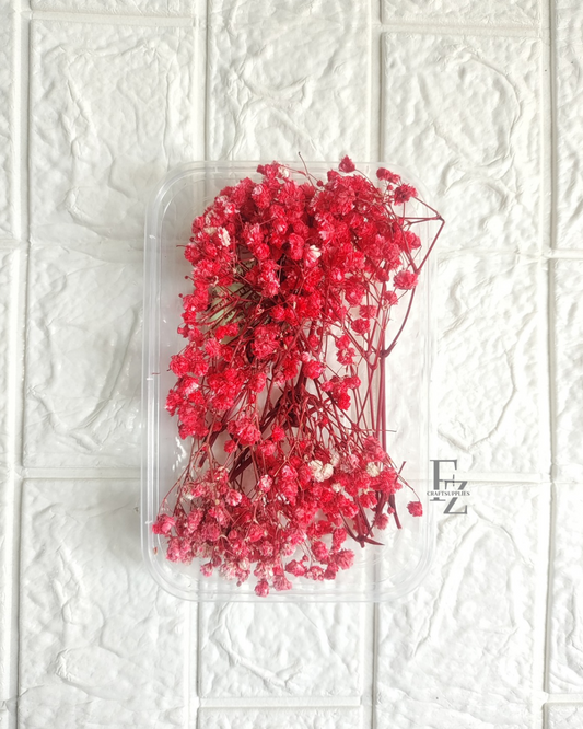 Baby Breath - Red
