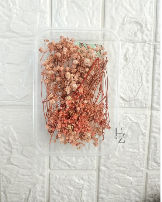 Baby Breath - Faded Pink