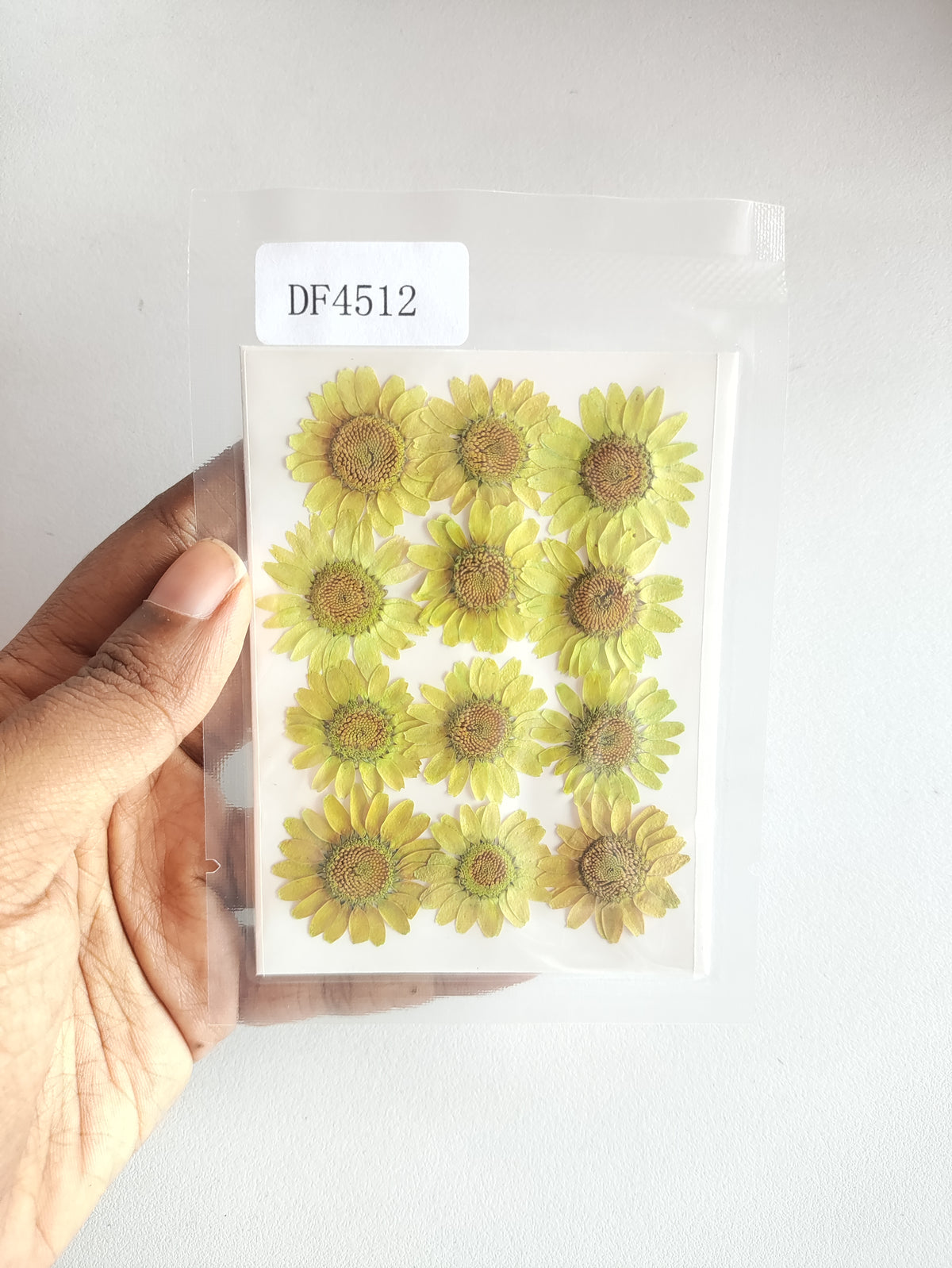 Pressed Daisy Flower Sheet Green - check description