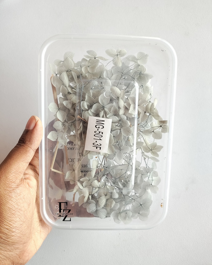 Hydrangea Dry Flower Box D51 - Grey