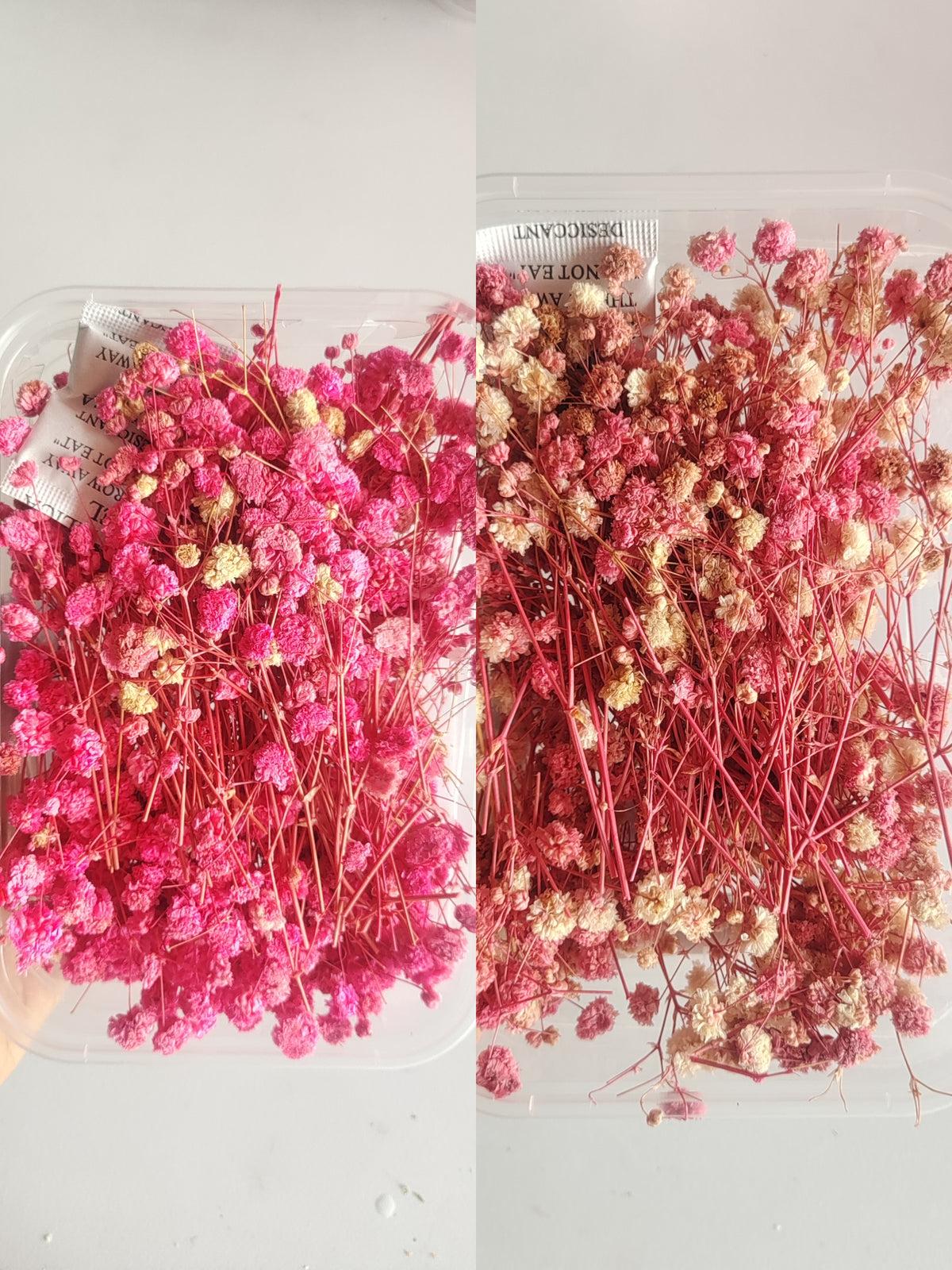 Baby Breath/ Gypsy Dry Flower Box
