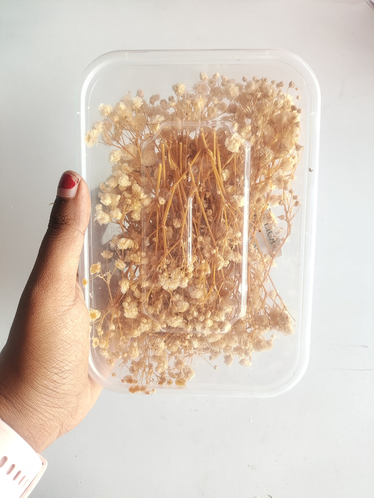 Baby Breath/ Gypsy Dry Flower Box