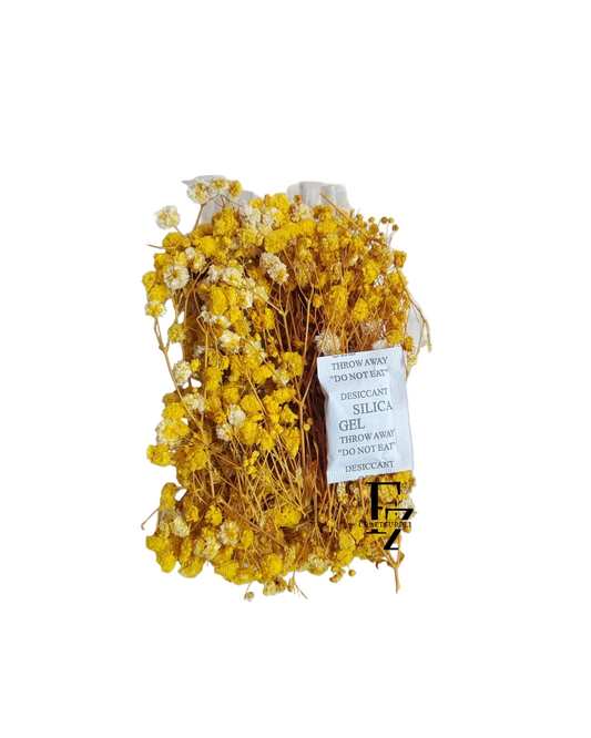 Dry Baby Breath/ Gypsy Box - Yellow