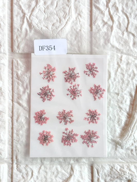 Queen Anne's Lace - Pink/ Peach