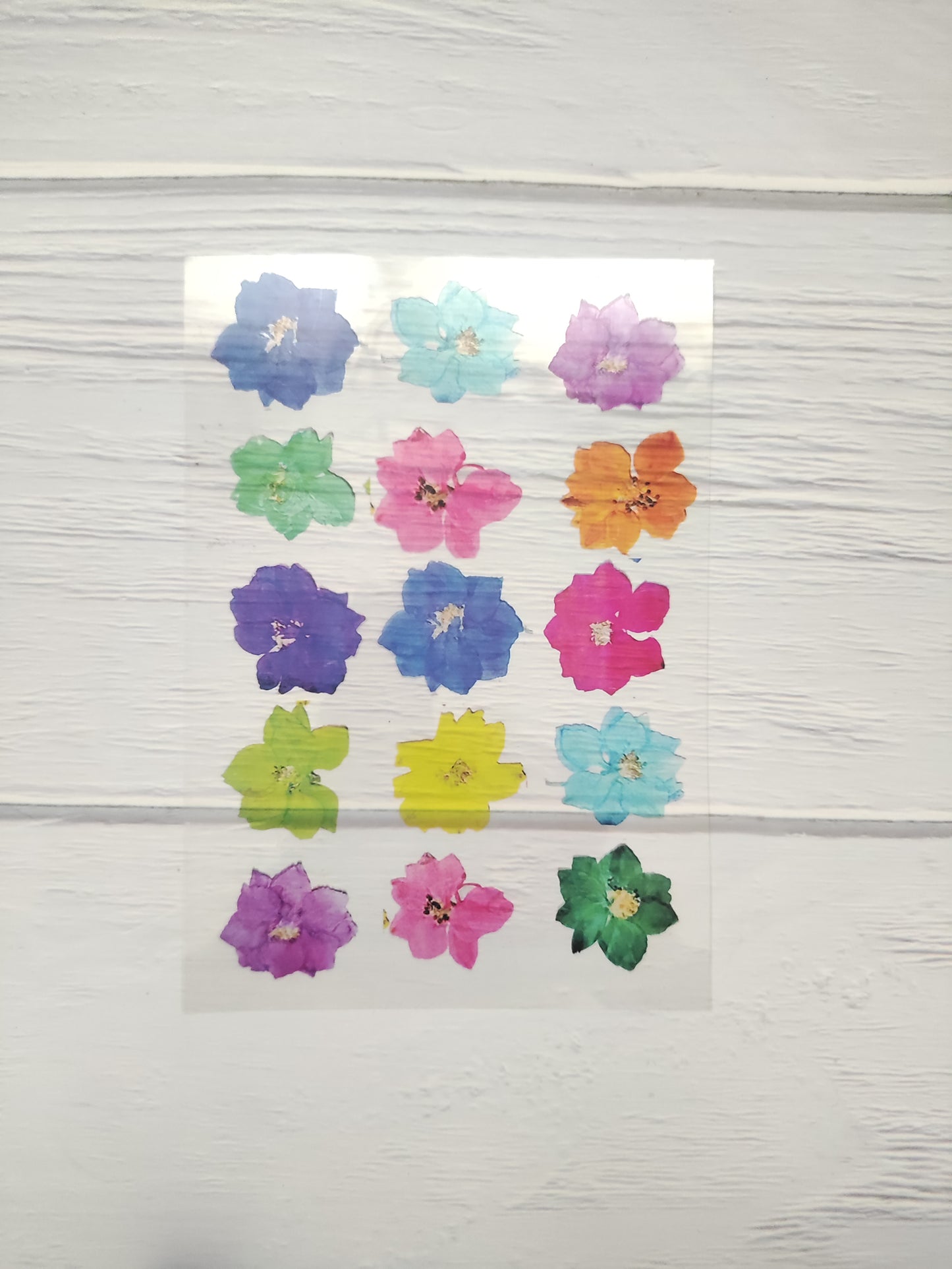 Hydrangea OHP Sheet A5 - D31