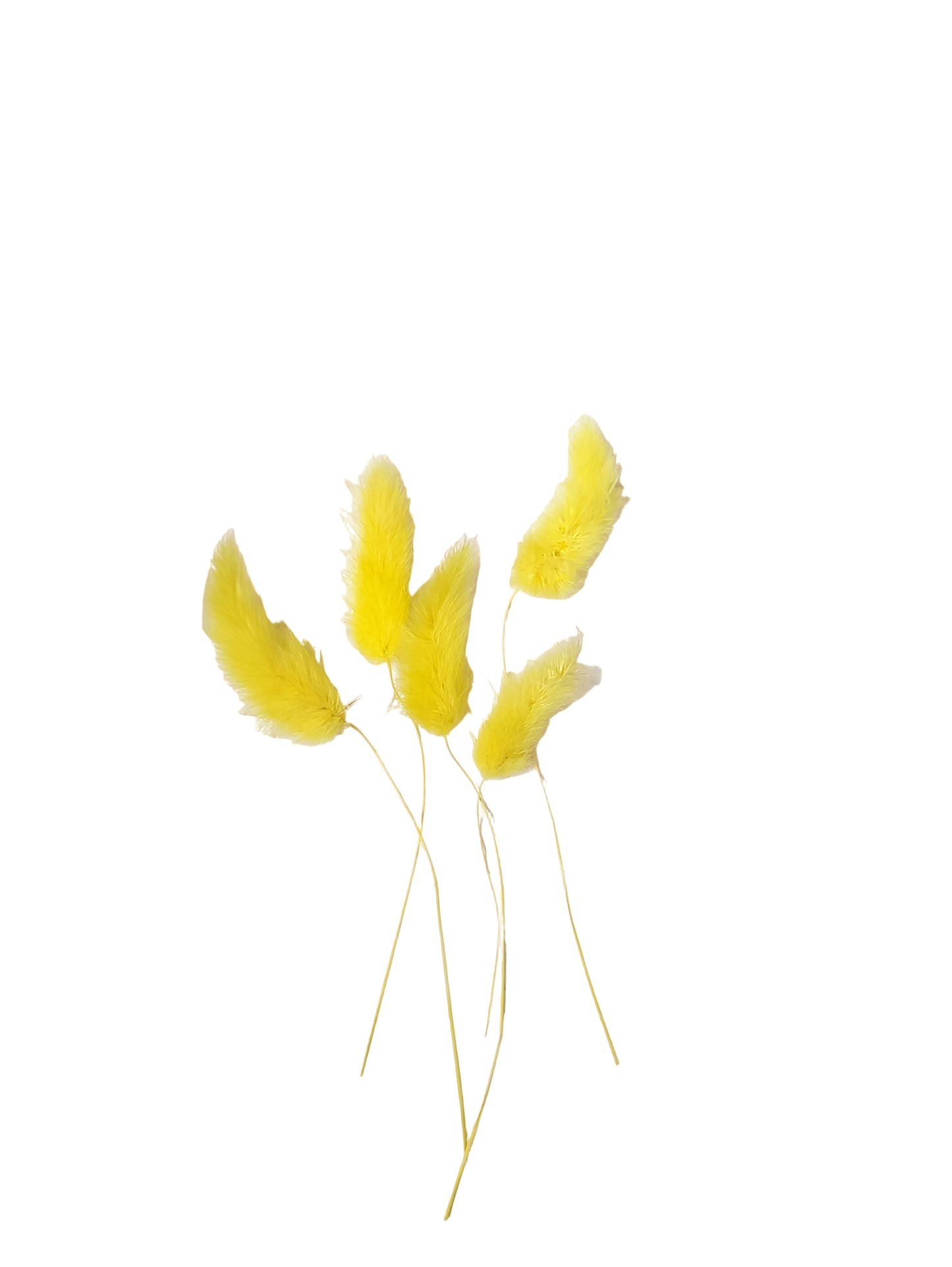 Bunny tails Yellow - 5 Pieces