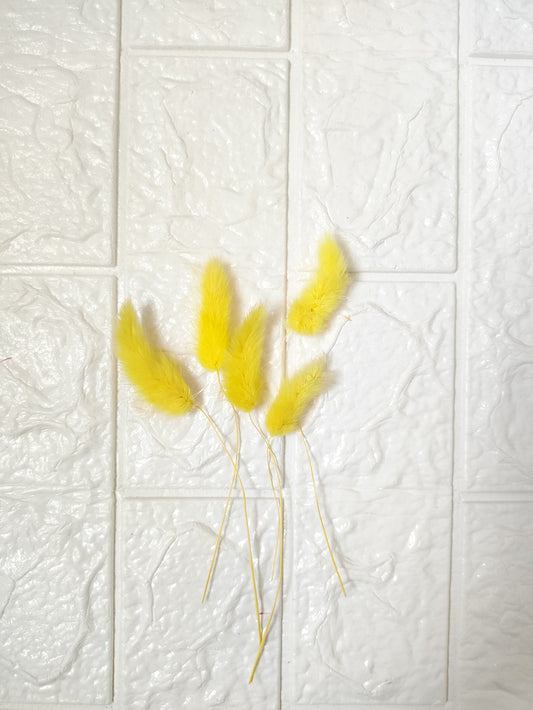 Bunny tails Yellow - 5 Pieces
