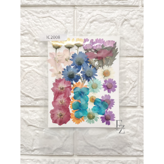 Mixed Dry Flower Sheet - D20