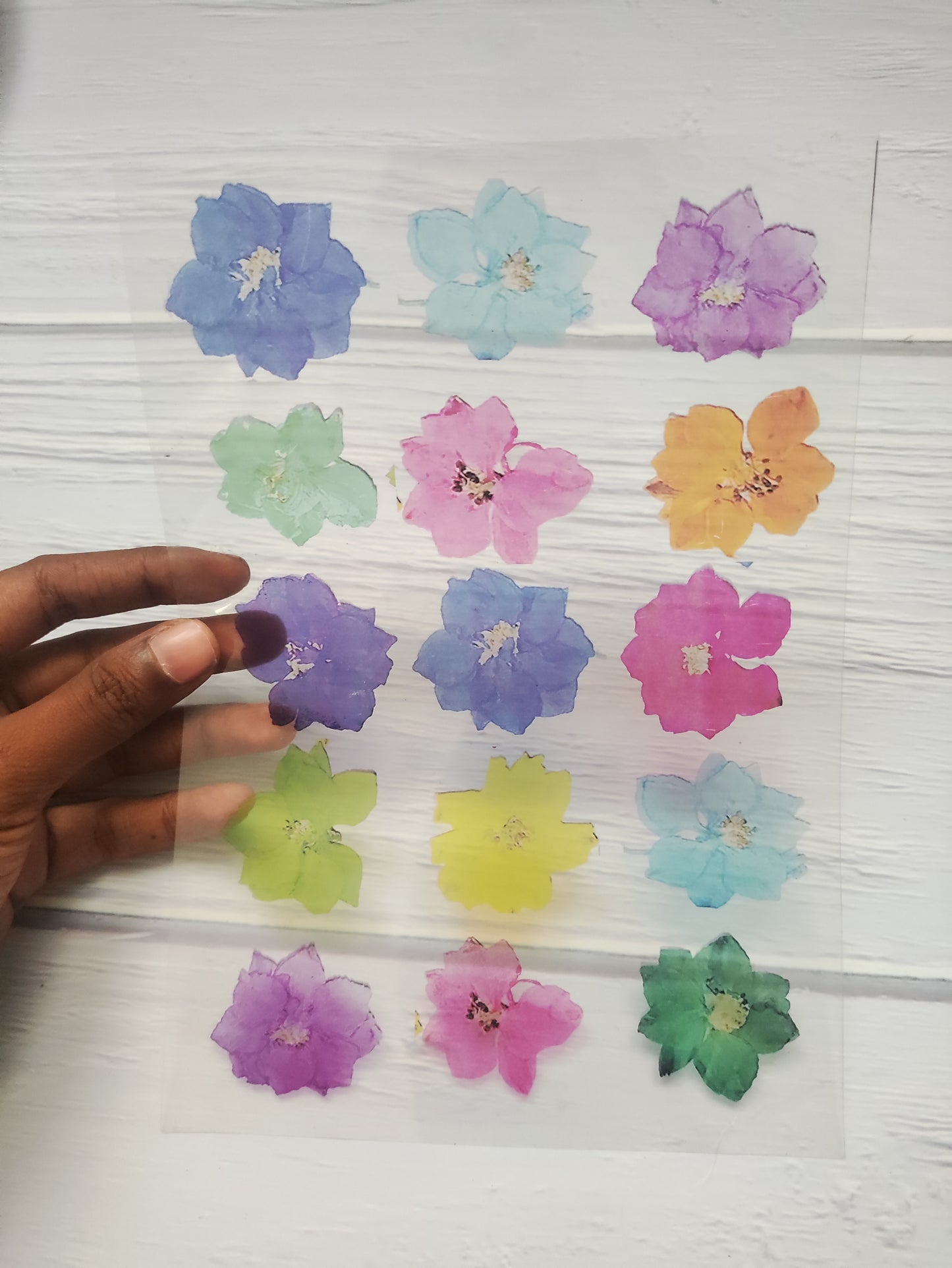 Hydrangea OHP Sheet A5 - D31