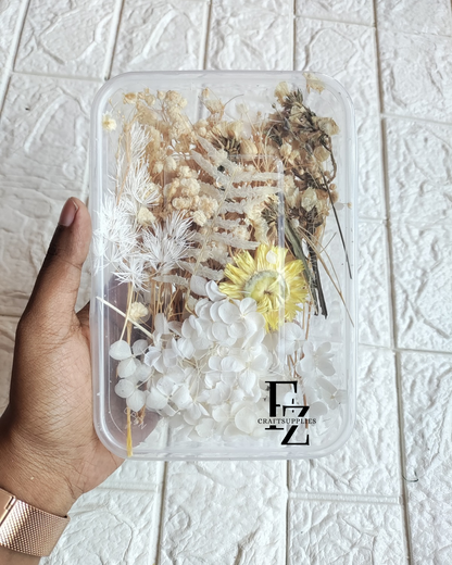 Dry Flower Box - D47
