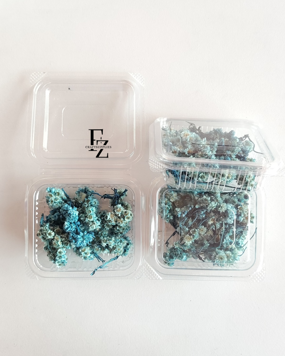 Himalayan Daises - Blue