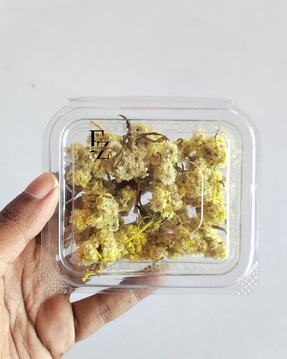 Himalayan Daises - Yellow
