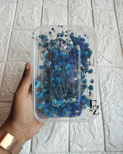 Dry Baby Breath/ Gypsy Box - D blue
