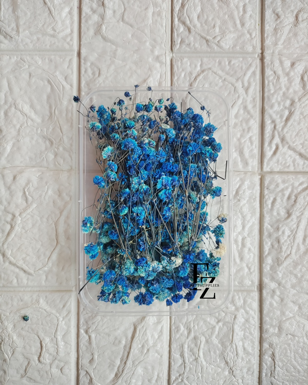 Dry Baby Breath/ Gypsy Box - D blue