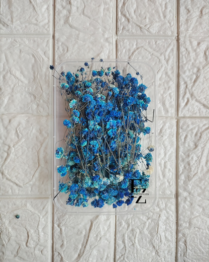 Dry Baby Breath/ Gypsy Box - D blue