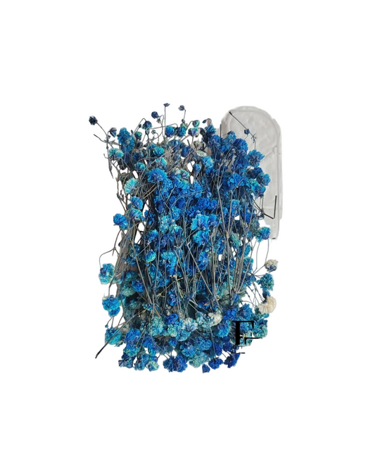 Dry Baby Breath/ Gypsy Box - D blue