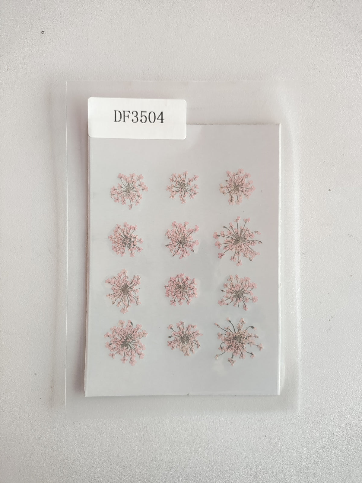 Queen Anne's Lace - L Pink