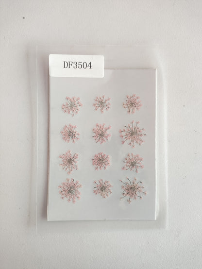 Queen Anne's Lace - L Pink