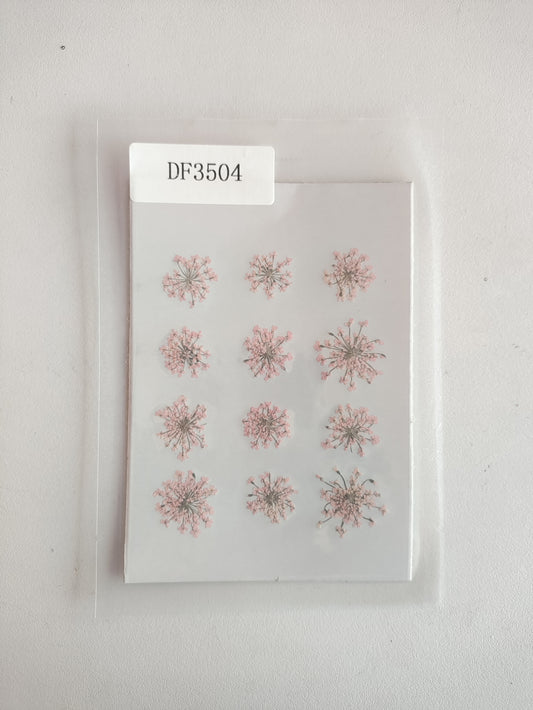 Queen Anne's Lace - L Pink