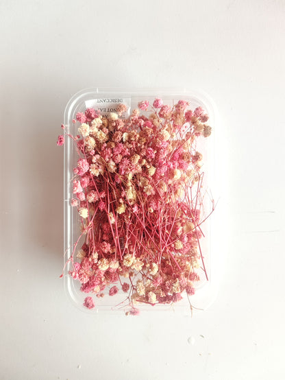Baby Breath/ Gypsy Dry Flower Box
