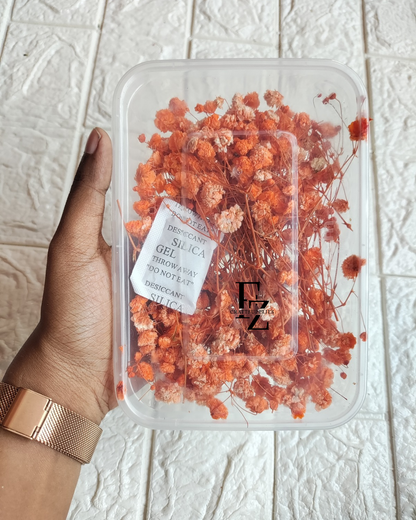 Dry Baby Breath/ Gypsy Box - Orange